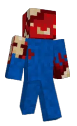 Minecraft skin — Classic model