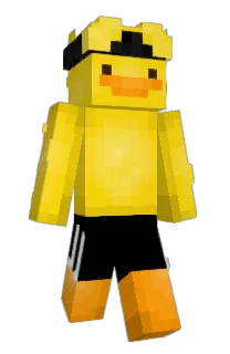 Front of zweets's skin