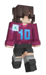 camelot and mine shaft Minecraft skin — Slim model — first worn by speedingegg