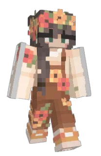 Front of Cometalovem's skin