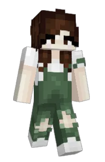 rissalei's Minecraft skin