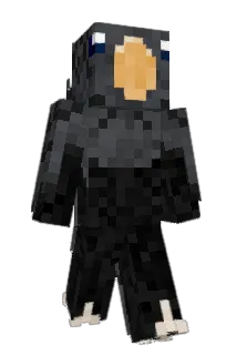81v0 Minecraft avatar full body