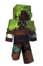 Skin preview