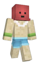 grain brown and fuzzy wuzzy brown Minecraft skin — Classic model — first worn by pluisfruit
