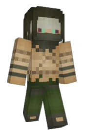 Skin preview
