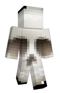 Front of Minecraft skin