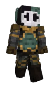 Skin preview