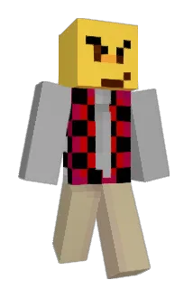8221 Minecraft avatar full body