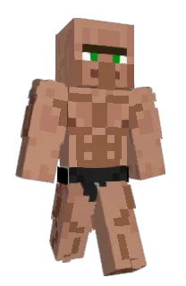 Front of syncs__'s skin