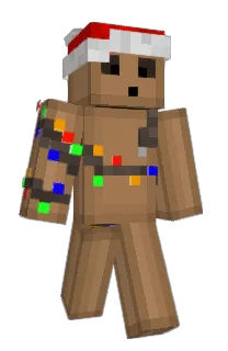 Front of fillecool13's skin