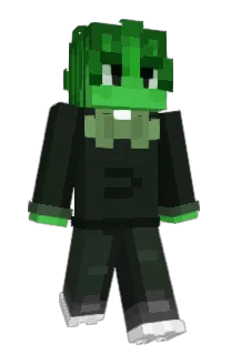 Front of neowings's skin