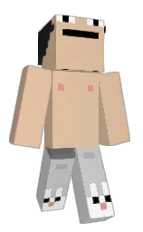 hackonn's Minecraft skin wearing the 15th Anniversary cape