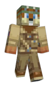 Skin preview