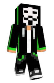 Skin preview
