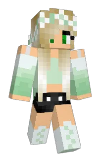 Front of Minecraft skin