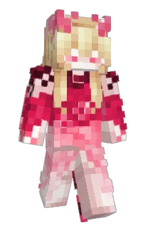 Front of emiqip's skin