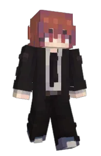 Front of Tickeby's skin