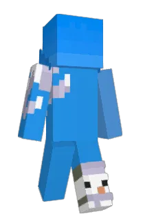 Front of qxrc's skin
