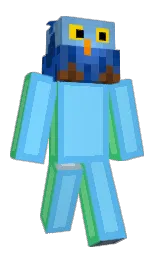 Minecraft skin — Classic model