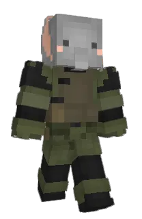 Front of elephant_1's skin
