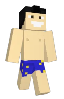 Front of Minecraft skin