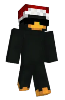 Front of 1919ms's skin