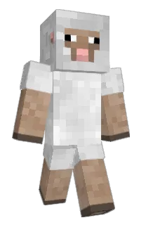 Front of Slief's skin