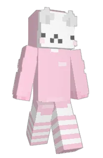 Front of goodpancake's skin