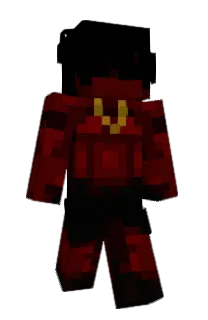 Front of plsimundercover's skin
