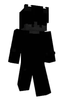 Front of wettkampf's skin