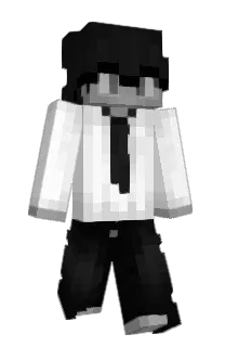 Front of WINSITY's skin