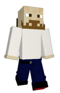 Pimpelpopper's Minecraft skin