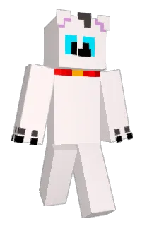 Front of pds__'s skin