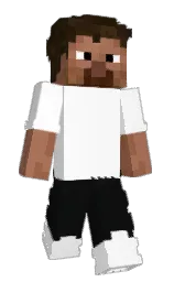 Slim Minecraft skin