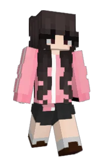 Front of 2024G4's skin