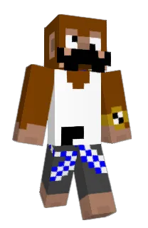 Front of BelVaso's skin