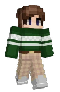 Front of IbianTV's skin