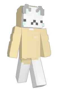 Front of MaguM29's skin