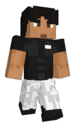Classic Minecraft skin