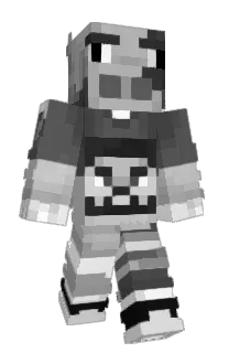 Front of qward1ne_'s skin