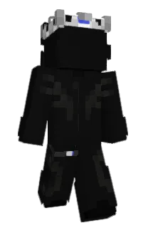 Front of iRev's skin