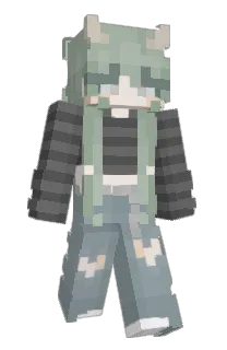 Front of BrokeToaster's skin