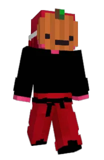 Front of Pixelo64's skin