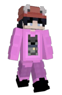 Front of Mnkynoodles's skin