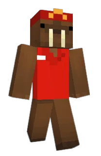 Front of fishfrappe's skin
