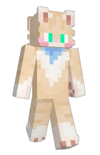Front of MICHAEL1408's skin