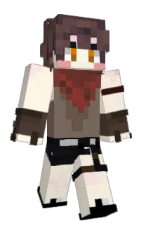 poma6846's Minecraft skin