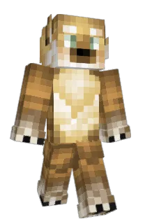 Front of SlmKd's skin