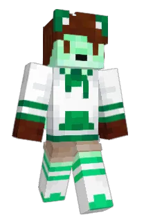 Front of NegativeAward's skin