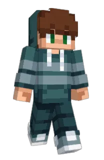 Front of zCerta's skin
